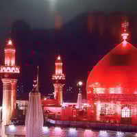 النجف الأشرف • أمير المؤمنين • انطلاق حسينية الجوادين