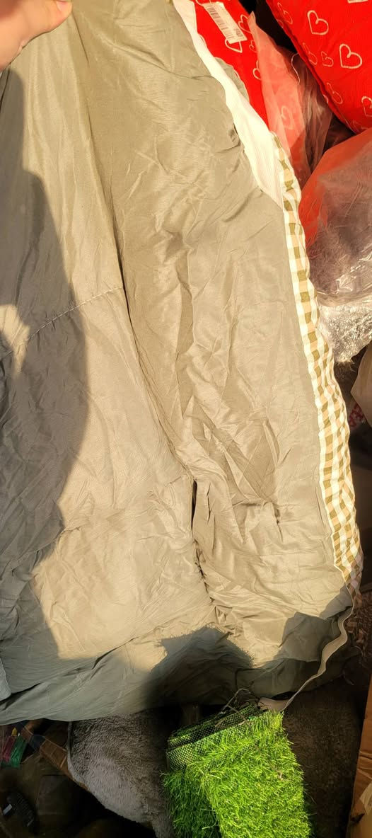 مفرش نفر السعر ٢٠


**إذا كنت صاحب هذا الإعلان وتريد حذفه لأي سبب، رجاءا أرسل رسالة إلى الدعم الفني**