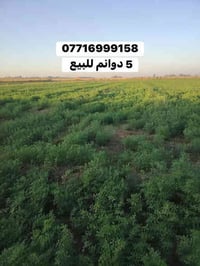 ارض زراعيه • ٥دونم • الراشدية بغداد