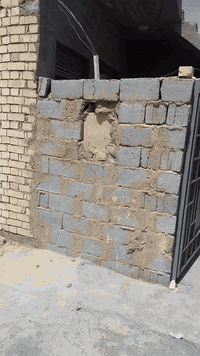 مشتمل • الجغيفي الثانيه • غرفة وصالة