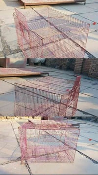 ٣ اقفاص • حجم كبير • بغداد سيديه