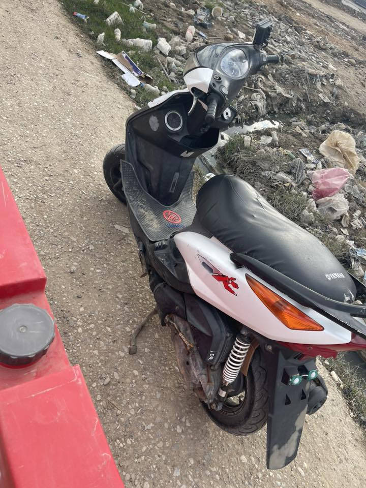 ماكس ثعلب للبيع  ***********
