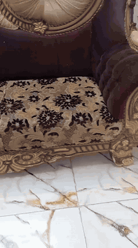 تخم كنبة • نظيف