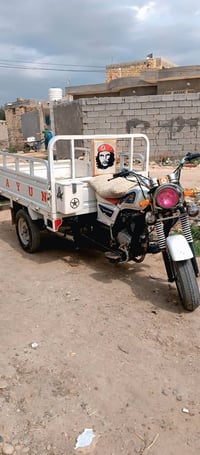 ستوتة • موديل ٢٢ • لا صبغ