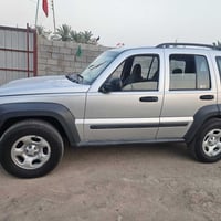 جيب البرتي • ٢٠٠٧ • بصره النشوه