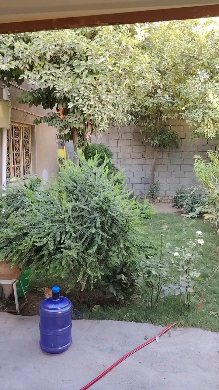 بيت للبيع طابو صرف مساحه 268
لمحاويل حي الجمهوري على شارعين

قرب شارع الأطباء ***********

 ***********
