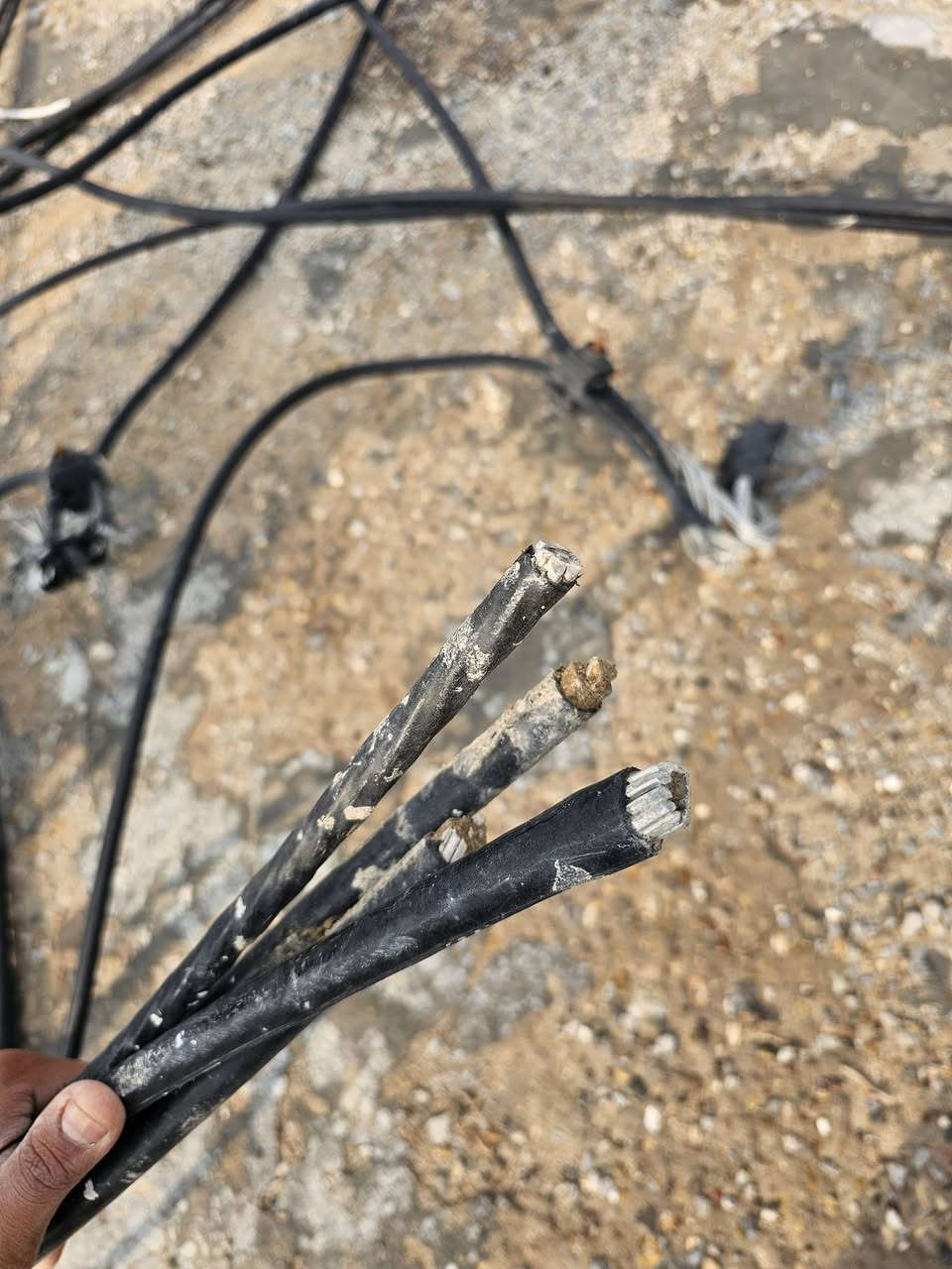 السلام عليكم كيبل ٣ طويات وحده ٨ متار وثانيه ١٢ متر ول ثالثه فوك ل١٥ لو ٢٠ متر المتر ب٩ وبي مجال شلع ابيعهنن شراي بيك خير ودلل رقم *********** @الجميع
