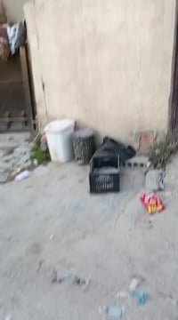 بيت للايجار • ٦٠م • حي المنتظر