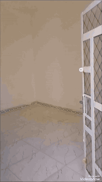 دار سكن طابو صرف جديد
المساحة ١٠٠ متر واجه ٥
البناء جديد غير مسكون
المحتويات استقبال مطبخ صاله غرفه نوم منور صحيات داخلية وخارجية
ارضية وصبغ وكهرباء وماء كله جديد
بناء طابوف عكادة
السعر المطلوب ٦٥ مع مجال
الموقع حي العسكري الثالث قرب شارع ٦٠ فرع علي الحداد
للاستفسار أكثر مراجعة مكتب التوكل للعقار الكائن في حي العسكري شارع ٣٠ او الاتصال والمراسلة على الواتساب على الرقم ***********
@إشارة
