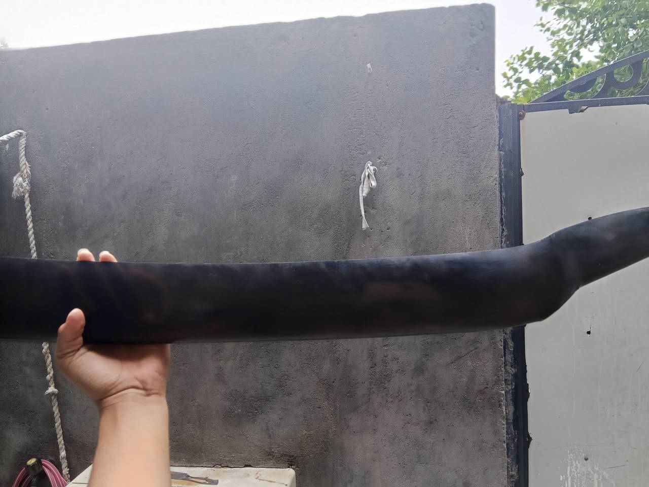 سلام عليكم
كصة مال جمسي تيران مكان بصرة 
سعر 30
رقم ***********
