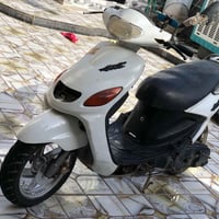دولفين • الخضر البريشه • مراوس