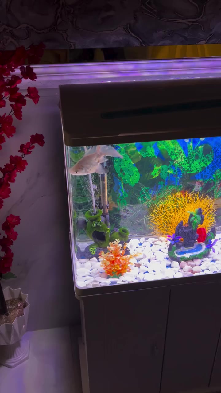 سلام عليكم حوض اسماك جديد استخدام نضيف كامله ملحقات معه الأسماك و3غطاسات إذا تريد تشتري مفرد فراح تشتري الواحد ب15وانه مطيهن الغراض كلهن هديه وي الحوض السعر 230قفل


**إذا كنت صاحب هذا الإعلان وتريد حذفه لأي سبب، رجاءا أرسل رسالة إلى الدعم الفني**