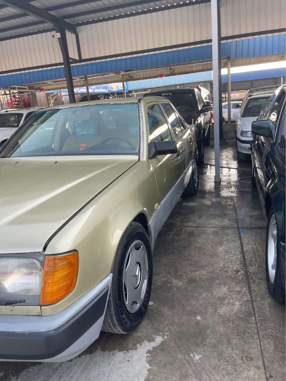 مارسدس ارم بلاستك سليمانيه بشرط تحويل وغرامه موديل 90 بشرط كله شغال كهرباء قواعد دبل سليمه السليمانية, العراق


**إذا كنت صاحب هذا الإعلان وتريد حذفه لأي سبب، رجاءا أرسل رسالة إلى الدعم الفني**