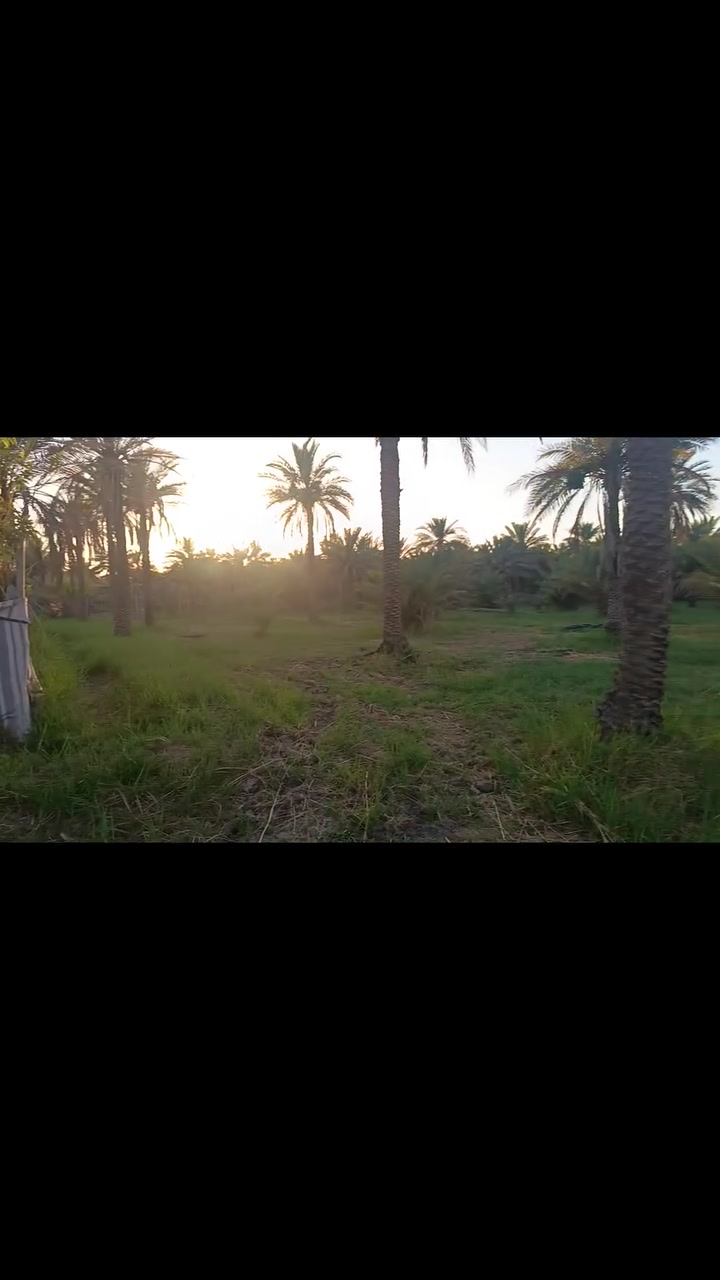 العنوان كربلاء شارع سيده زينب منطقه الخطاطبه طريق رابط بين الامام عون شارع بغداد وسيدة زينب ع

المساحه 2دونم طابو سند ٢٥ تحويل كافه الاسهم
خدمات ماء اساله مولده وطني بل باب واصل ماء سقى سيح
السعر ٣٢٥ اكو مجال من صاحب الارض حصراََ
ملاحظة هذا سعر الدونمين ٣٢٥
***********
