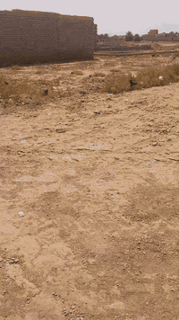 السلام عليكم قطعه 200 على شارع شفيت قريب على الشارع العام سعر 8, وبيها مجال قليل مايك يتوفر معي كهرباء خدمات الشارع جاي يشتغلون بيه قطعه 200 قطعه ركن هذا رقمي ***********
