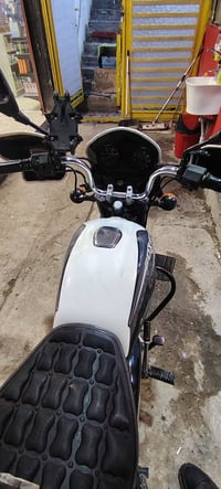 بوكسر • سلف عاطل • حي جهاد