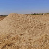 تبن • گراضه • للبيع
