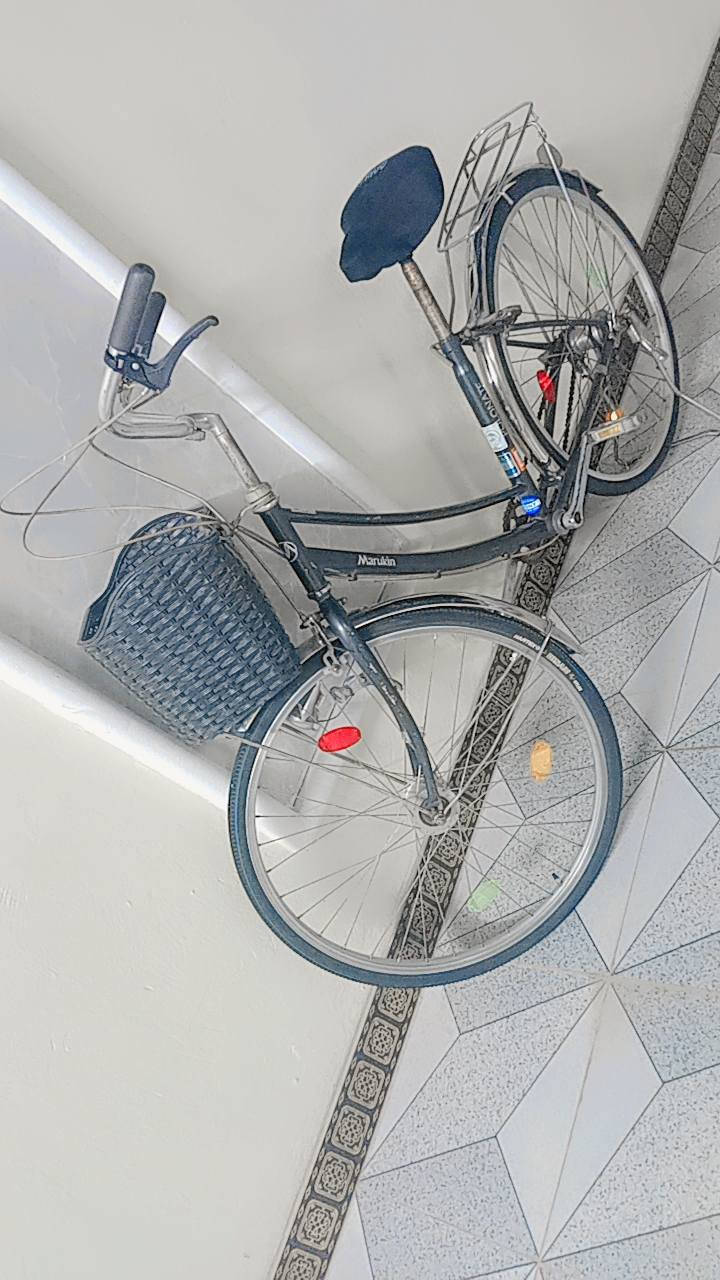 سلا عليكم بايسكل البيع نضيف نتصل عل رقم ***********وتدلل
