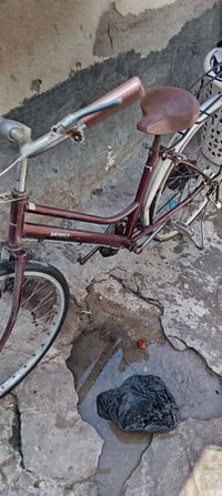 باسكل • للبيع • خاص