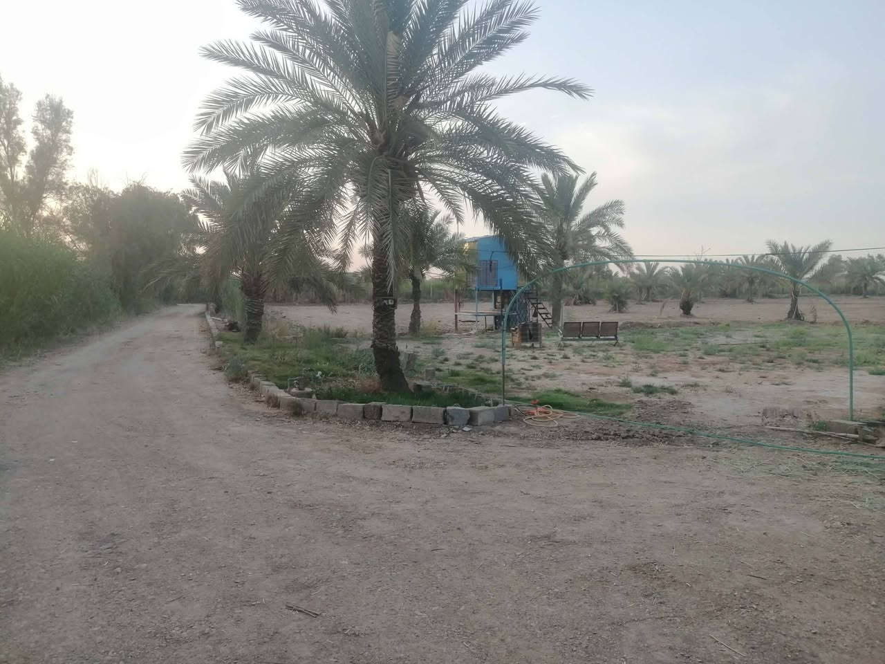 مزرعه 5 دونم سند 25 وجه الأرض 100م ونزال 125م تقع على بعد 2 كم عن قضاء العزيزيه قريبه جدا.. أرض خصبه جدا تحتوي على ٧٠ شجرة نخيل مثمره مع دار سكن وخدمات كامله من ماء وكهرباء ومشروع للسقي مبطن وتبعد عن الشارع العام ٧٠م لاستفسار مراساله الحساب.  السعر بدون تحميل انته وراعيه


**إذا كنت صاحب هذا الإعلان وتريد حذفه لأي سبب، رجاءا أرسل رسالة إلى الدعم الفني**