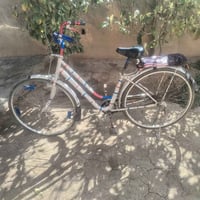 بسكليت • شغال • للبيع