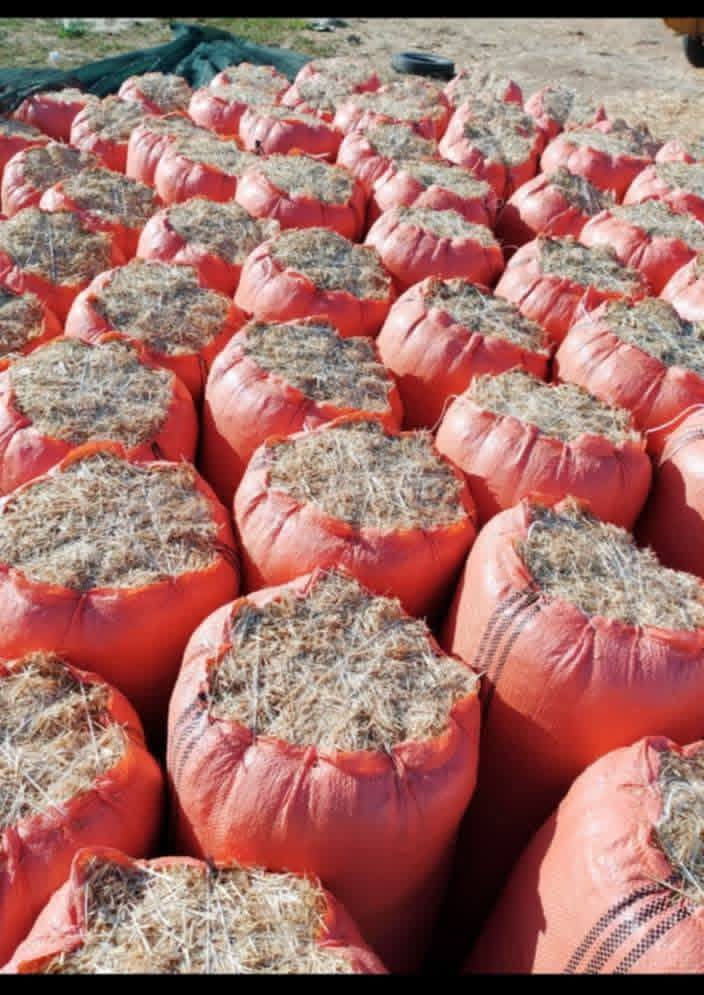 السلام عليكم تبن لبيع بنسب لسعار لرايد تبن يتصل *********** وتوصيل لباب بيتك وددلل
