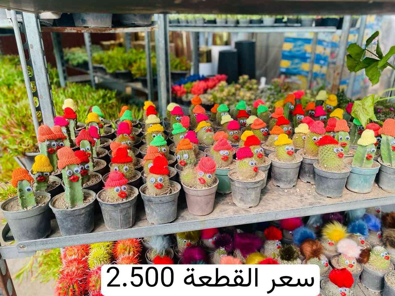يالله وجبة جديدة انشاء الله الاسعار داخل الصور 
للطلب والاستفسار 
***********
