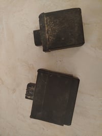 عقول • فحل • نثيه