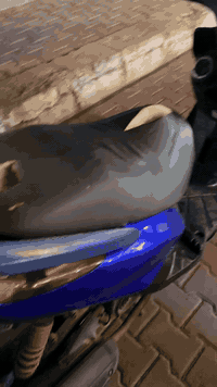 سلام عليكم شباب دراجه ماكس ثلعب مال رمبه كامله مكمله ومابيه نقص ايشي تشغل وتروح سعرها ٧٥٠وبيه مجال مال طيبين متواجد واتساب *********** مكاني بياع
