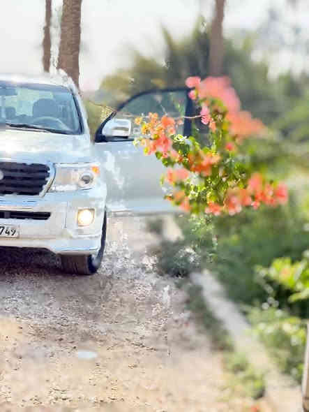 السلام عليكم
للبيع او المراوس
لاندكروز 2011محدث 14

رقم سليمانيه الجديد بأسمنه  

تريد تحويل تريد وكاله 

السياره 6V سبعه راكب

فتحه سقف(بنوراما) 

محرك وكير كفاله 

حادثها جاملغ وبنيد

سعرها 283

مكان السياره حله

رقم الهاتف: ***********
