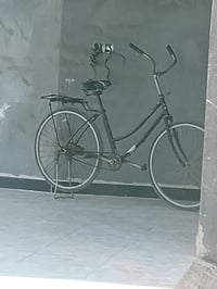 بايسكل • مابي • الحفرية