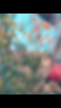 رمضان كريم حداد متنقل تصليح بيبان شبابيك  كص شيلمامن جميع الحداده بغدا...