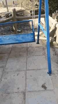 مرجوحه للبيع للستفسار الاتصال على الرقم *********** او خاص
