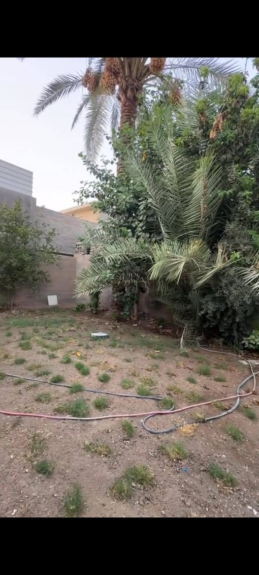 ‎0790 283 4700
بيت للبيع قاطين باقي بس تقفبل شبابيك وكهربائيات يعني يحتاج فقط ٦ مليون يجهز 
خارطه حديثه مودرن 
الطابق الارضي / طابو حجه مساحه 260 متر
حديقه كبيره + كراج سياره +غرفه +استقبال + صاله كبيره+ مطبخ بارد كبير مؤسس غاز دفن مع مفرغات صاروخي   +طبخ حار مع منور خاص مؤسس غاز دفن مع مفرغات صاروخيه اخرى ايضا.
الطابق الثاني /غرفه نوم + صحياة سويت vip + صاله +مطبخ +سطح سيراميك حراري درجه اولى 
هاتف ‎0790 283 4700
الفرع خلف مدرسه تل الزعتر 
خلف المجمعات
