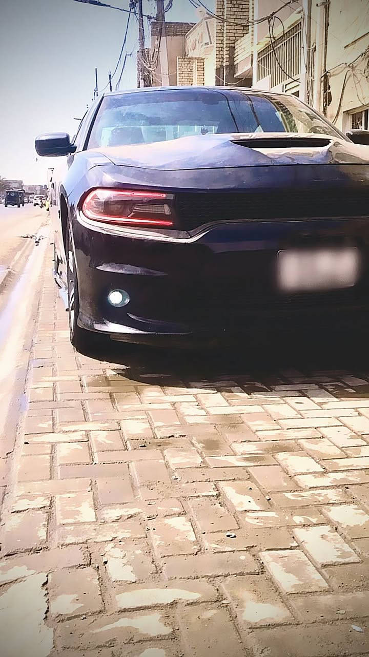 بسم الله الرحمن الرحيم
توكلت على الله

#تم_تنزيل_السعر_للحاجه_الماسه 

اخوان الاعزاء كلشي ذاكر بالمنشور بدون اي زياده أو نقصان وحشاكم من النقص مع نشر الصور بدون اي فلتر او تعديل والصور حديثه وليس قديمه وصور الحادث هم موجوده بالمنشور اقرأ المنشور وشوف الصور والي يقتنع كل الهلا بي وعلى راسي يجي وانشاءالله ماقصر وياه 

               
#دوج_جارجر 🇺🇲 

موديل (2019 اصل) فئة (SXT)
محرك (6.سلندر.3600)
(تو_ويل) رقم بغداد الجديد ابأسمي شخصياً تحويل بشرط 
 الحادث مثل ما موضح بالصور باب وجبتلها باب نفس أللون ونفس الكود بدون صبغ وبدون ايرباك وبيها وبارد جاملغ امامي.وجاملغ خلفي على كد شبر 🫲 (شواصي اللغود كافه الدواخل مكفوله ومكفوله كفاله عامه بعد) 
كير.محرك.صدرخلفي.امامي كله جديد ومكفول عام ووين ميعجبك وأبأي مكان افحص 
منضومة تبريد مع الفريز كله جديد تبريد ثلج 🥶
 تدفئه شغاله 🔥
ممشى السياره
 (👈83 الف مايل) حقيقي وشرط الفحص 
محدث اسSRT ارتي
(كت كامل)

الاضافات ،،، 👇

1__سقف روز زرع الف حبه 600 $  
2__اناره غرفه داخليه كامله 200$
3__كت اسSRT ارتي كامل للاخير
4__فلنجات مزرفه SRT
5__تخم تاير أصلي بعده بنقشته قبل يومين شاده 
أنتاج 2025
6__لدات دواخل تكساس 
7__لحايه ودوسات وشفقات كامله للاخير
8__لدات متغير اروكال تحكم بالموبايل 200 $
9__منضومه زنون 200 $
10__جكات(اسS2تو) الاصدار 25 جديده 1500 $ 
11__غرفه مال سكات اصليه حضن 400 $
12__شاشه كار بليSRT
13__ويل كب خليجي أصلي مال كصه مختوم USA أمركي 
14__بلكات ريسلنك
15__عبوه مع فيت بم ريسلنك 180 $
16__ولف حماوه ريسلنك
17__استدات طلقه تخم كامل اصلي + استدات الاصليه موجوده إضافية وياها 
18__دواخل كاربون فايبر 
19__دبل بصمه واثنينهن اصليات 
20__سبايدر خلفي اصلي وليس تجاري 
21__مطريات بوب اصليات 
وبعد بيها هوايه اضافات
السياره جديده على ايد وحده وكامله والكمال لله
ملاحضه ،،،👇
(السياره متطلع مجودره 24 ساعه ولله بالشهر لو مره لو مرتين تطلع) والف دينار ماتصرف عليها 

#السعر___210_ورقات
#شدتين_وعشر_ورقات_وبيها_مجال_شي_قليل

مكان السيارة 

#بغداد_حي_جميله 

والشراي عيوني اله 

#للأستفسار_واتساب👇

***********...📞
***********...📞
