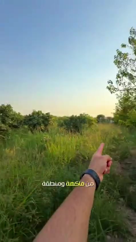 السلام عليكم
مزرعة الارض الخضراء
بلد صلاح الدين
للايجار اليومي
شفت صباحي شفت مسائي او يوم كامل
عوائل و شباب
للتواصل والاستفسار 
***********
