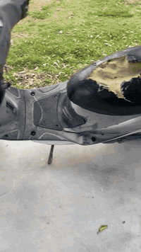 سلام عليكم عيني هاي دراجه ماكس منغولي والمكان جسرديالى وأسعر 350وبيهامجال ***********
