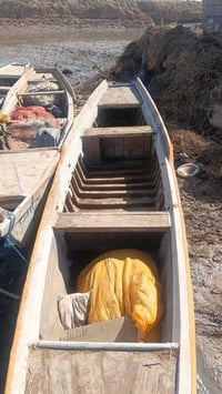 ما يتواجد فيس بوك بلم للبيع الطول 14 الاتصال على الرقم 07825421428