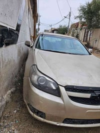 ابيكا • البصرة • اصلية
