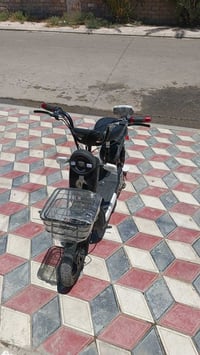 دراجه شحن • موديل ٢٤ • ديالى