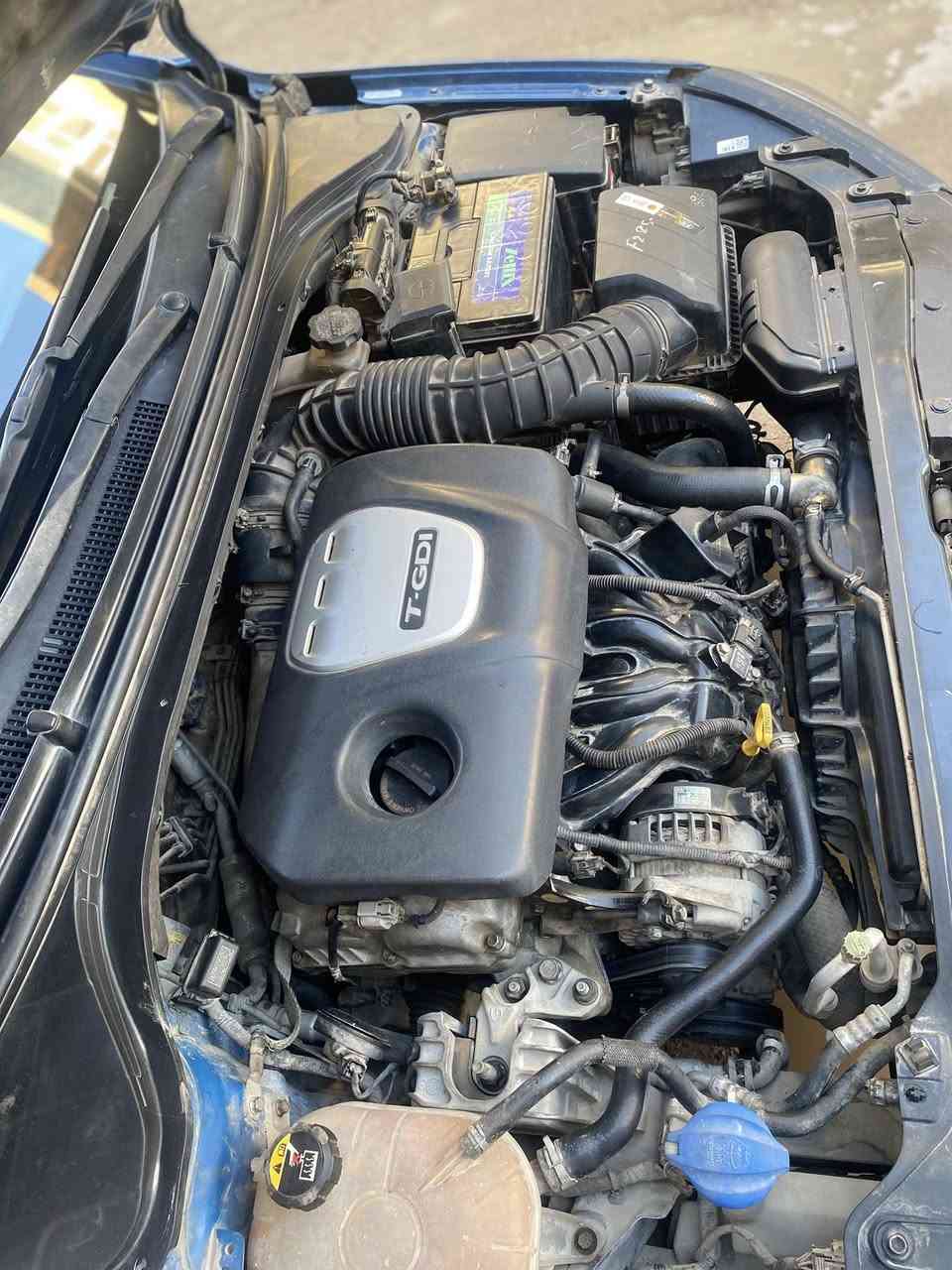 السلام عليكم اخوان 
النترا ٢٠١٨ سبورت انتفنتي 
السياره كلين مكفوله من الحادث فقط بيها بارد بسيط على كد اصبعين ولا مبين وصبغ دعاميات اماميه وخلفيه 
وارد امريكي 

المواصفات 
حساسات إماميه وخلفيه 
فتحه 
بصمه 
بصمة ابواب 
كشنات جلد مطرز احمر 
كير dct دبل كلج ٨ نمر 
دوسات نيكل 
تبريد تدفئة 
التبريد منفصل 
الشاشه تدعم كار بلي منافذ شحن اثنين 
فول تحكم ستيرن 
شاشة اعطال 
تدفئة كشنات 
رادارات جانبيه 
الجامه الخلفيه عاكسه للضوء والمرايه الخلفيه هم كذالك 
الستيرن حرفD
اللايت عدسه ليد 
البكلايت كذلك 
وبعد هواي مواصفات تجي وتشوف بعينك 

السياره على ايدي صار سنه ونص جنايها

السعر ١٤٥ وبيها مجال للطيبين 
المكان الدوره البوعيثه 
***********
