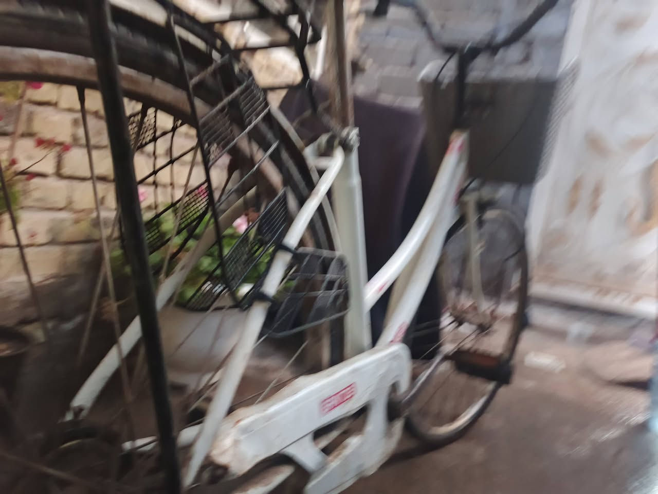 سلام عليكم باسكل البيع ب كربلاء قفل 50 نضيف كلش مكاني حي العباس اي عطل مابي رقمي بي وتساب ***********
