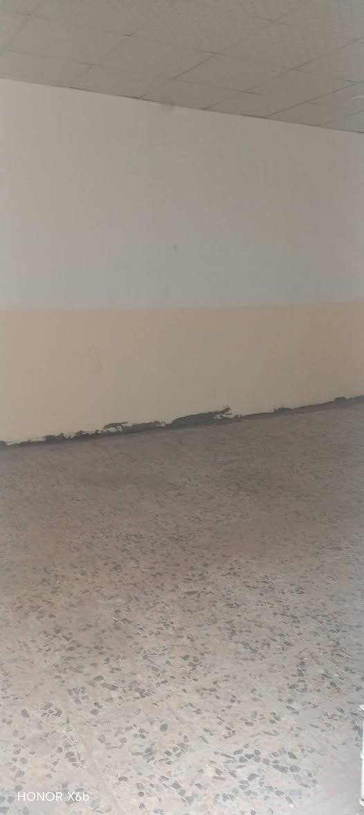 ياالله
سلام عليكم من رخصت الادمن المحترم
للبيع بيت عقد 117 مساحه 120م مصبوغ ومتعوب عليي الفرت 8متر ساحه بيت +غرفه 4×6 +صاله + استقبال سكف ثانوي+صحيات 
العنوان الكوفه شارع المطار قرب اسواق فدگ يبعد عن الشارع 200 متر شارعه كلش حلوو
رقم الهاتف ***********
