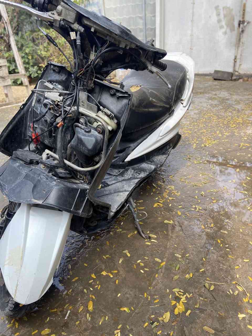 سلام عليكم سكنس فحل كابريتر دراجه شوفت عين بيع او مراوس مكاني بغداد الشعب ***********
