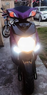 سكنس فحل • نوزل • رياضي