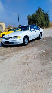 برنس فراشة • موديل ٩٦ • السماوة