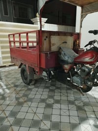 ستوتة ام تي ار • أوراق كاملة • نضيفة