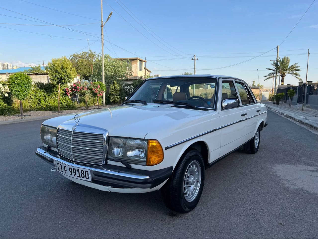🚨🔥 مرسيدس الكلاسيكية الأصلية… E300d 🔥🚨
Mercedes-Benz E300d – 1984 
💰 السعر؟ 95 ورقە

💥 كلاسيك ألماني + وضع الشركة 💥
الموديل: 1984
دخول جديد 🔥
الرقم: أربيل

━━━━━━━━━━━━━━━
🔥 الحالة:
محرك + گير بلادي ✅
تبريد شغال 💯
داخل وخارج السيارة بلادي
على وضع الشركة 😈

📞 ***********
📞 ***********
📍 أربيل – معرض هاشم للسيارات أربيل, العراق

