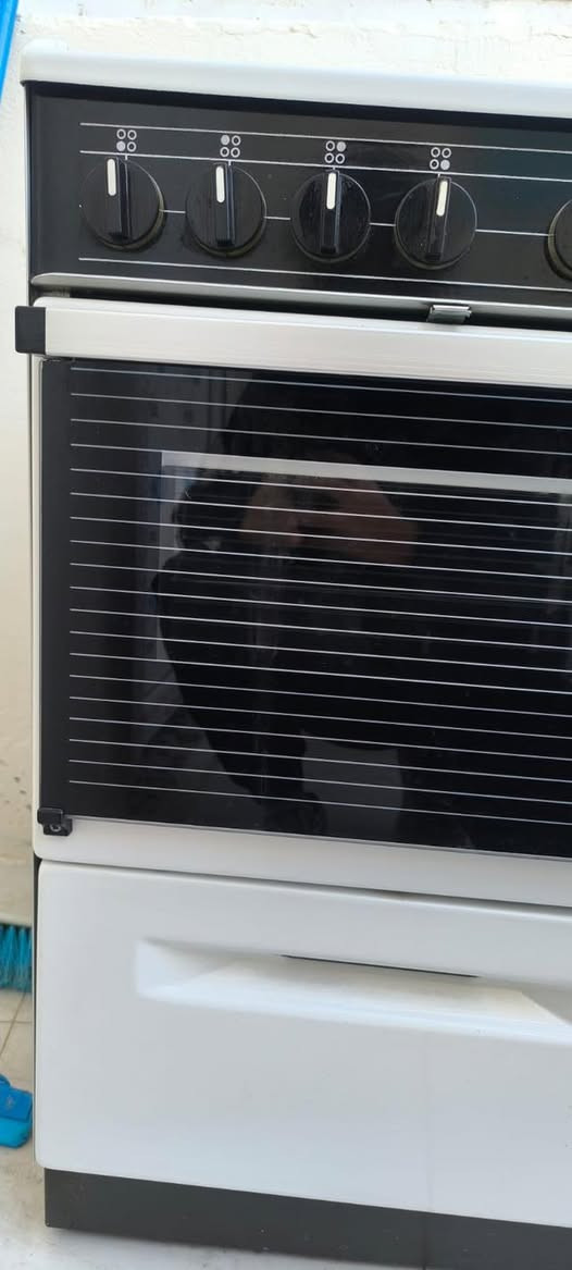 السلام عليكم …طباخ كهربائي بالة اوربيه  سعر ٢٠٠ الف وقابل للتفاوض عنوان بعقوبه


**إذا كنت صاحب هذا الإعلان وتريد حذفه لأي سبب، رجاءا أرسل رسالة إلى الدعم الفني**