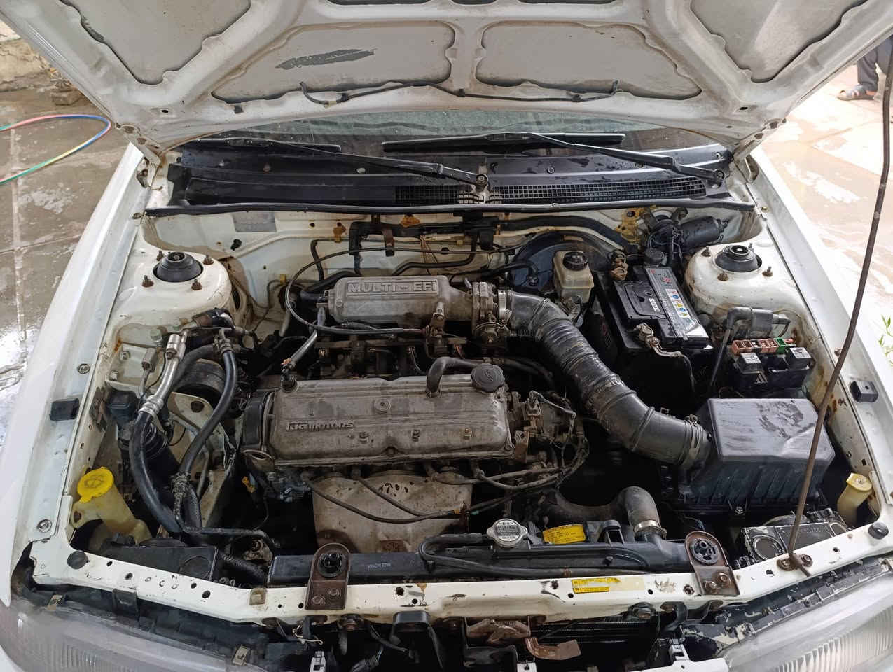 السلام عليكم كيا سيفيا موديل 1995 رقم بغداد مشروع وطني سنويه ما منتهيه مصبوغه حزام للجماليه لا ضربه ولا كص متعهد تحويل مباشر كير ومحرك زغير (مفتوح)خير من الله لا تبخير ولا تنقيص كهربائيات كله شغاله تخم تأثير صدر امامي وخلفي جديد مشط باور شغال تبريد عاطل مكاني بابل جبله *********** السعر 40وبيه مجال قليل
